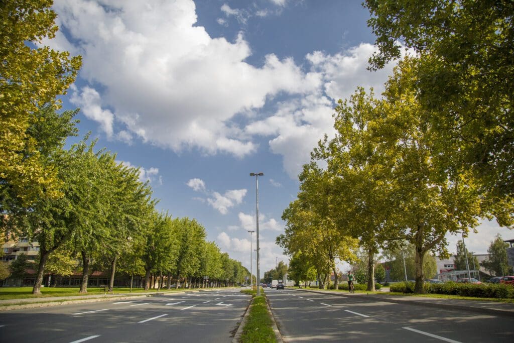 Turistička zajednica grada Kutine, TZGK, TZK, Turizam, Hrvatska, Moslavina, Kutina, duple trake