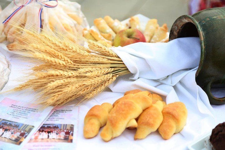 Grad prijatelj djece, Turistička zajednica grada Kutine, TZGK, TZK, Turizam, Hrvatska, Moslavina, Kutina, dani kruha, Kutina grad prijatelj djece